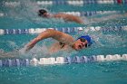 Swim vs Bentley  Wheaton College Swimming & Diving vs Bentley University. - Photo by Keith Nordstrom : Wheaton, Swimming & Diving